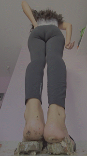 Inshoe Snails 5