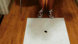 beneath-her-feet-com.gif beneath-her-feet-com.gif