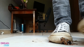 converse-crunch-ii.gif