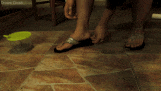 inshoe-cricket-com.gif inshoe-cricket-com.gif