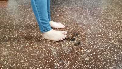 pp2.gif pp2.gif