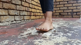 under-her-soles.gif