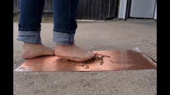 vv.gif vv.gif