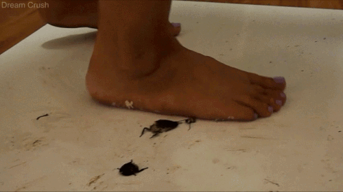 white-under-her-soles-thumb.gif